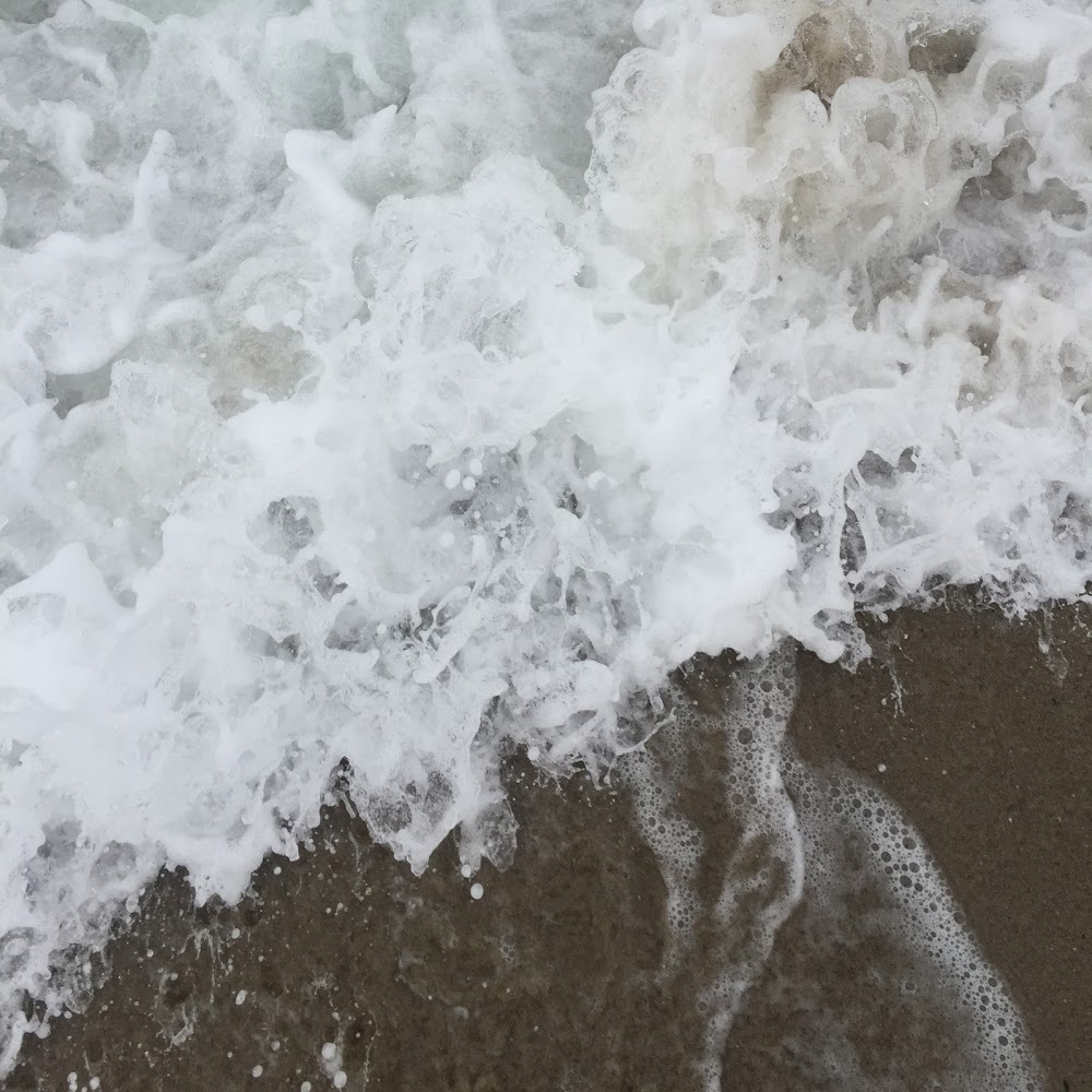 Meet your Posher, Avery